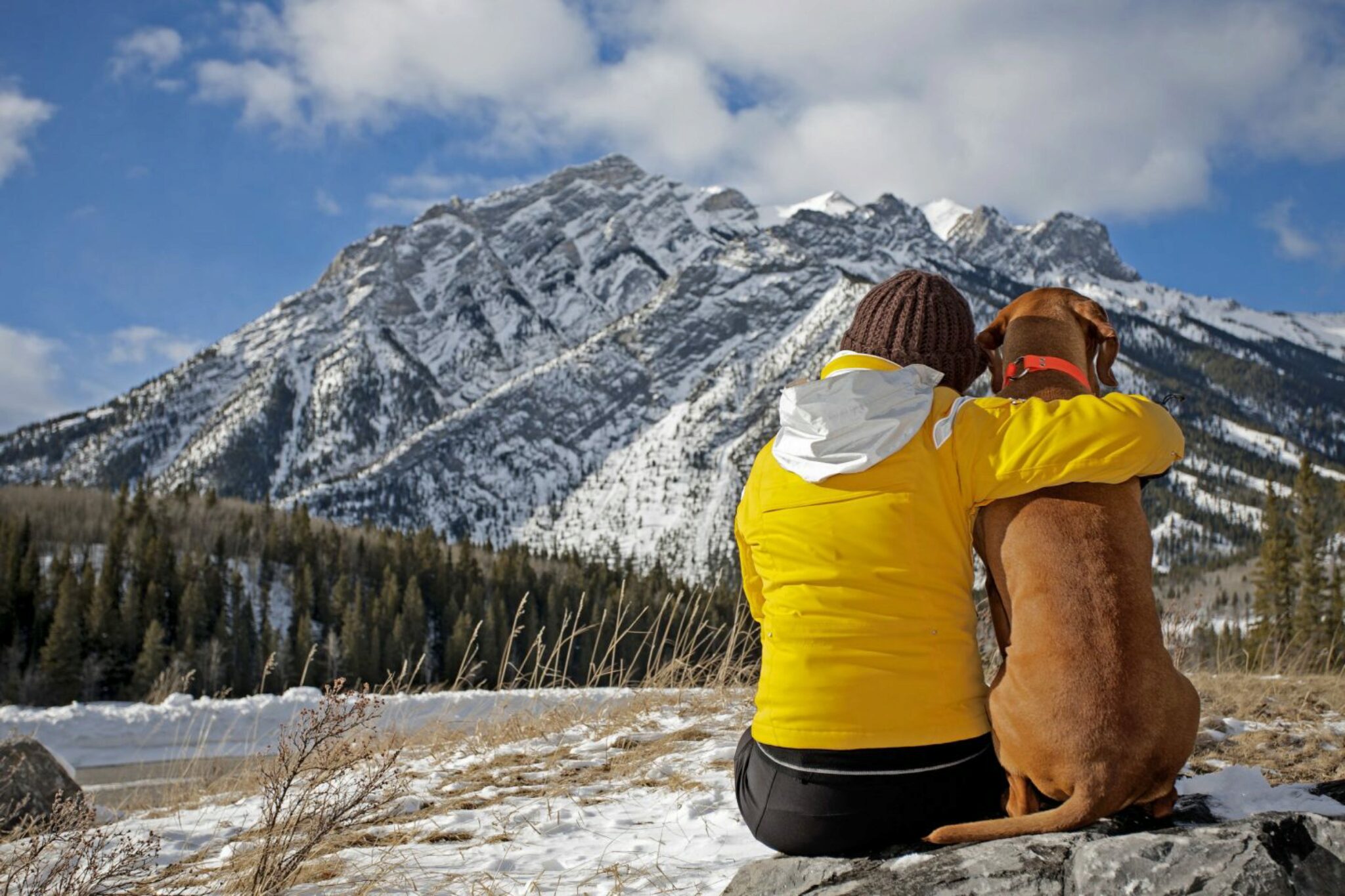 5 Consigli Per Proteggere Il Tuo Cane Durante Le Escursioni